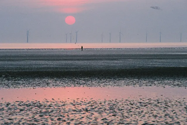 An offshore wind farm on the horizon at sunset over wet sand