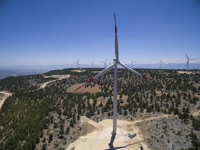 A wind turbine above a pine-covered ridge, seen from the air