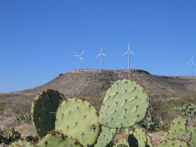Wind turbines on a mesa above prickly pear cactus