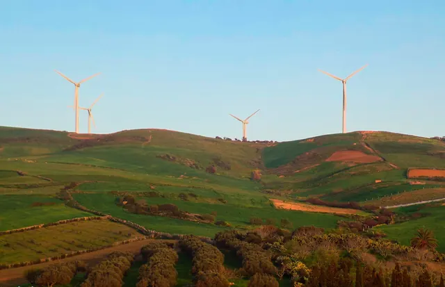 Wind turbines on green and ochre hills in evening light