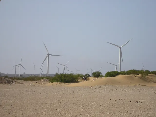 Wind turbines above sand dunes and scrub near Essaouira