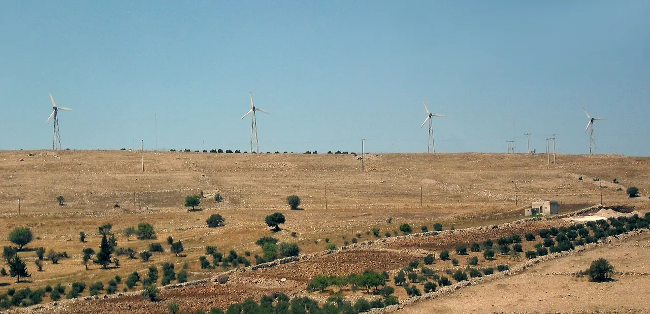 Wind turbines across a dry plain dotted with trees