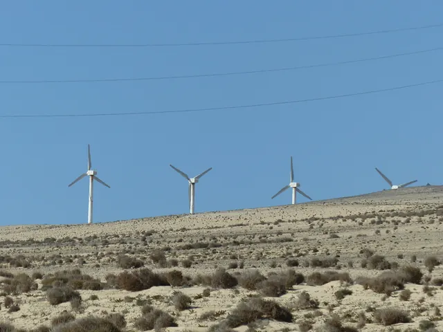 Wind turbines and power cables over a dry coastal plain