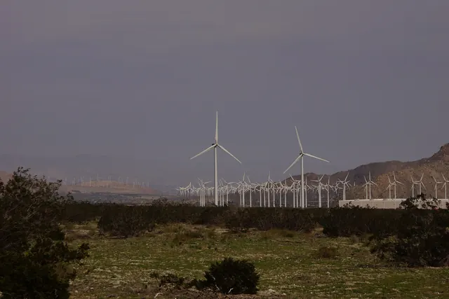 Dense rows of wind turbines on a desert plain at dusk