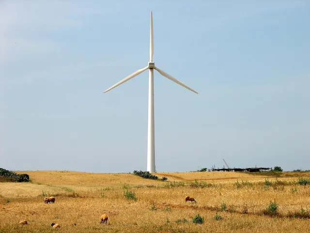 A single wind turbine above a dry golden field