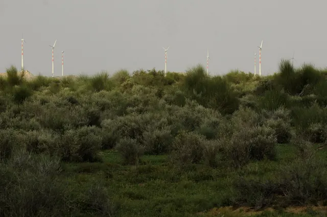 Wind turbines beyond thick desert scrub