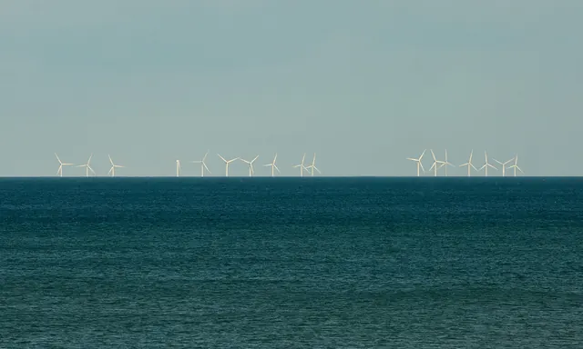 An offshore wind farm on the horizon of a green sea