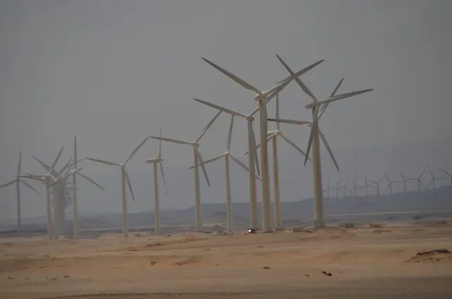 A dense cluster of wind turbines rising from flat desert