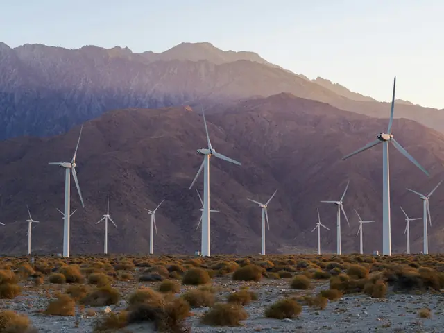 Wind turbines among desert shrubs at the foot of a mountain range