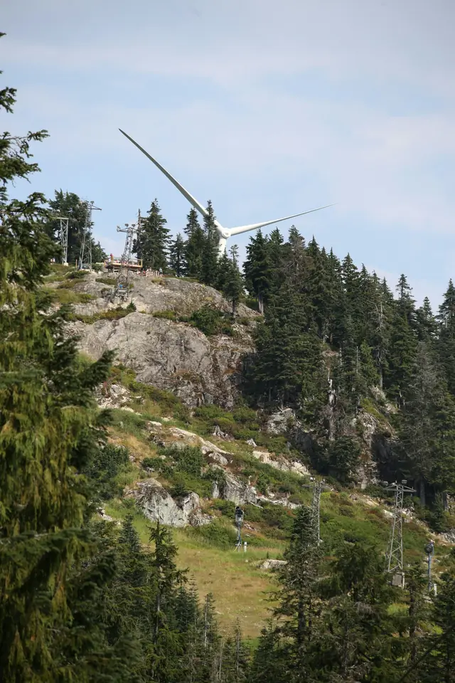 A single wind turbine above a forested rocky slope